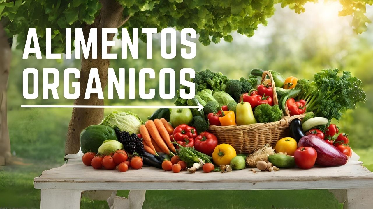 Alimentos Orgánicos
