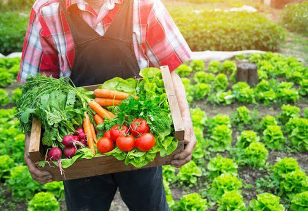 Beneficios para el Planeta