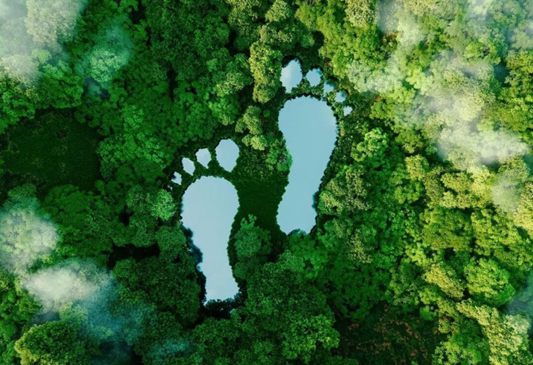 actividades -humanas