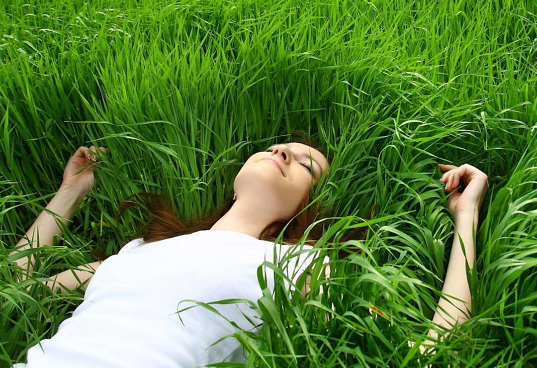 Cómo Vivir un Estilo de Vida Verde