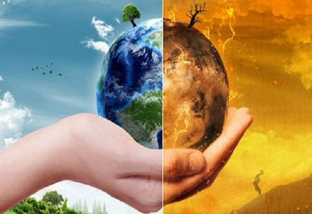 Beneficio del Medio Ambiente