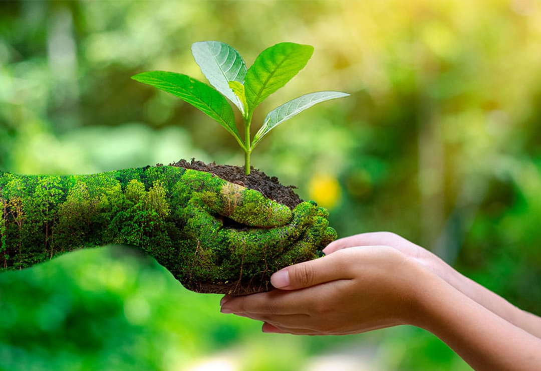 La conservación es esencial para salvaguardar la biodiversidad 